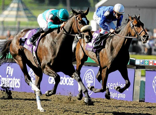 Get Your Breeders Cup Classic News: Find Out All the Winners and Losers