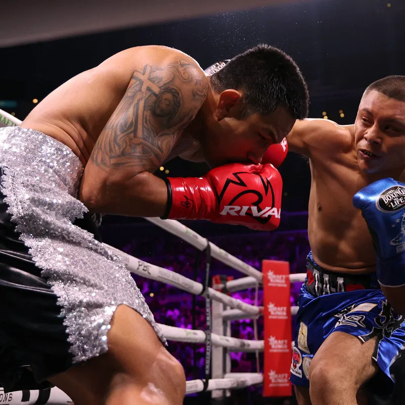 What Do the Pitbull vs Tank Stats Tell Us?  Heres a Simple Look at Their Strengths.