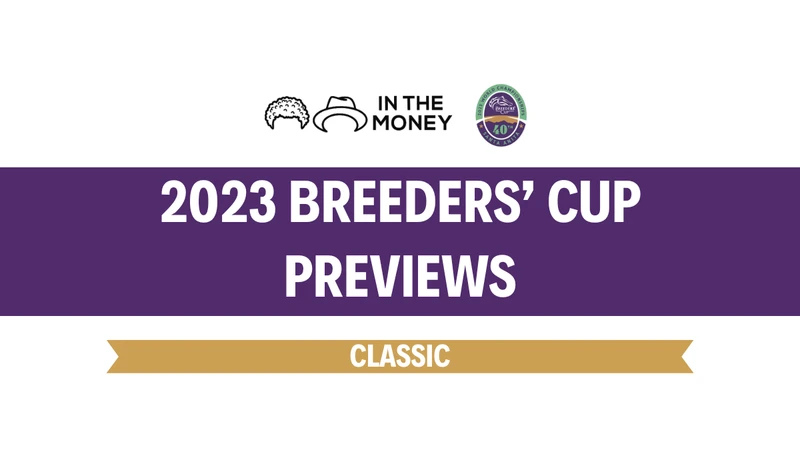 Breeders Cup 2023 Packages: Where to Find Them & Whats Included?