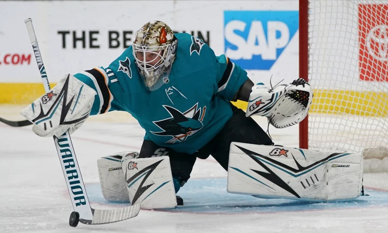 Making a Penguins vs Sharks Prediction? Check Our Expert Insights!