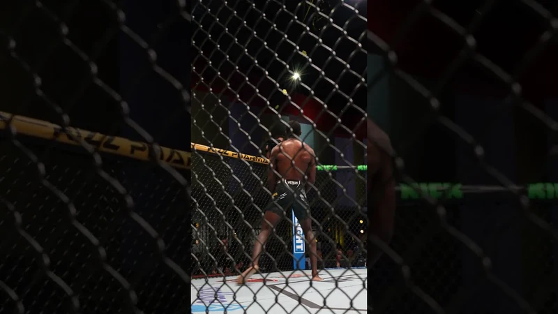 Making a Brown vs Dos Santos Prediction? Read This First, very short!