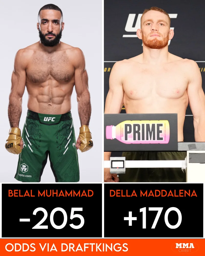 Belal Muhammad Odds: Latest Betting Guide and Predictions